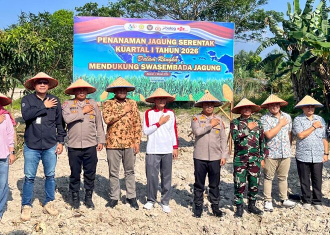 BRI BO Kisaran Ikuti Tanam Raya Jagung Serentak, Dukung Swasembada Pangan 2026